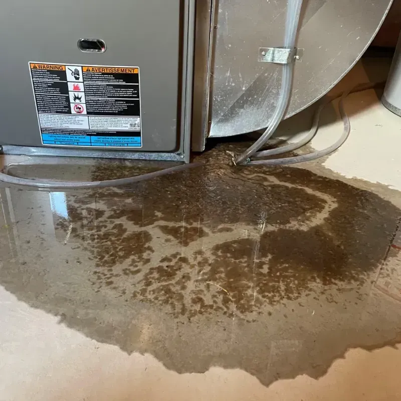 Appliance Leak Cleanup in Larimer County, CO